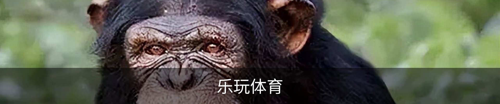lewan.乐玩(国际)唯一官方网站